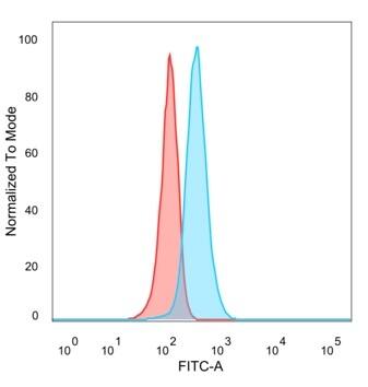 Flow cytometric analysis of PFA-fixed HeLa cells. PHF10 Antibody (PCRP-PHF10-2A10) - Azide and BSA Free followed by goat anti-mouse IgG-CF488 (blue); isotype control (red).