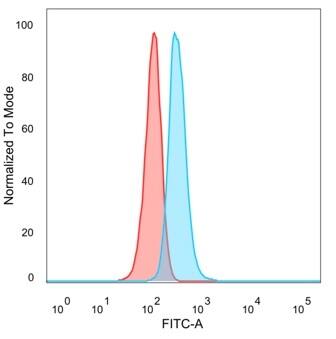 Flow cytometric analysis of PFA-fixed HeLa cells. ERK2 Antibody (PCRP-MAPK1-1D1) - Azide and BSA Free followed by goat anti-mouse IgG-CF488 (blue); unstained cells (red).