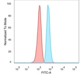 Flow cytometric analysis of PFA-fixed HeLa cells. Serum Response Factor SRF Antibody (PCRP-SRF-1F1) - Azide and BSA Free followed by goat anti-mouse IgG-CF488 (blue); isotype control (red).
