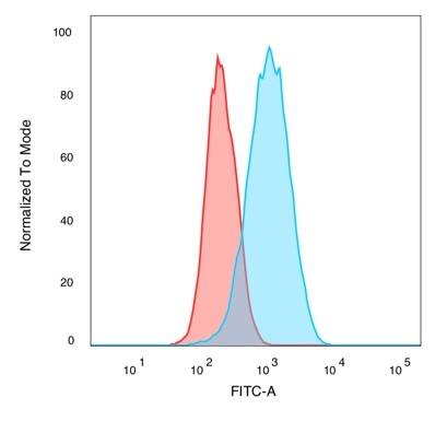 Flow Immunofluorescence Analysis of PFA-fixed MCF-7 cells.CUGBP2 Antibody (PCRP-CELF2-1E4) - Azide and BSA Free followed by goat anti-mouse IgG-CF488 (green). CF640A phalloidin (red).