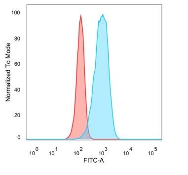 Flow Cytometric Analysis of PFA-fixed HeLa cells. CUGBP2 Antibody (PCRP-CELF2-1E4) - Azide and BSA Free followed by goat anti-mouse IgG-CF488 (blue); unstained cells (red).