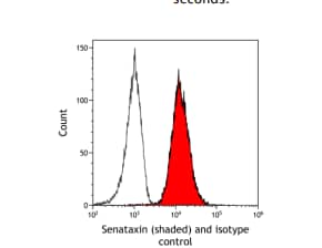 Flow Cytometry:Senataxin Antibody [NBP3-14676] -: Rabbit anti-Senataxinrecombinant monoclonal [BLR050F] or isotypecontrol (unshaded). Secondary: DyLight® 488-conjugatedgoat anti-rabbit IgG 