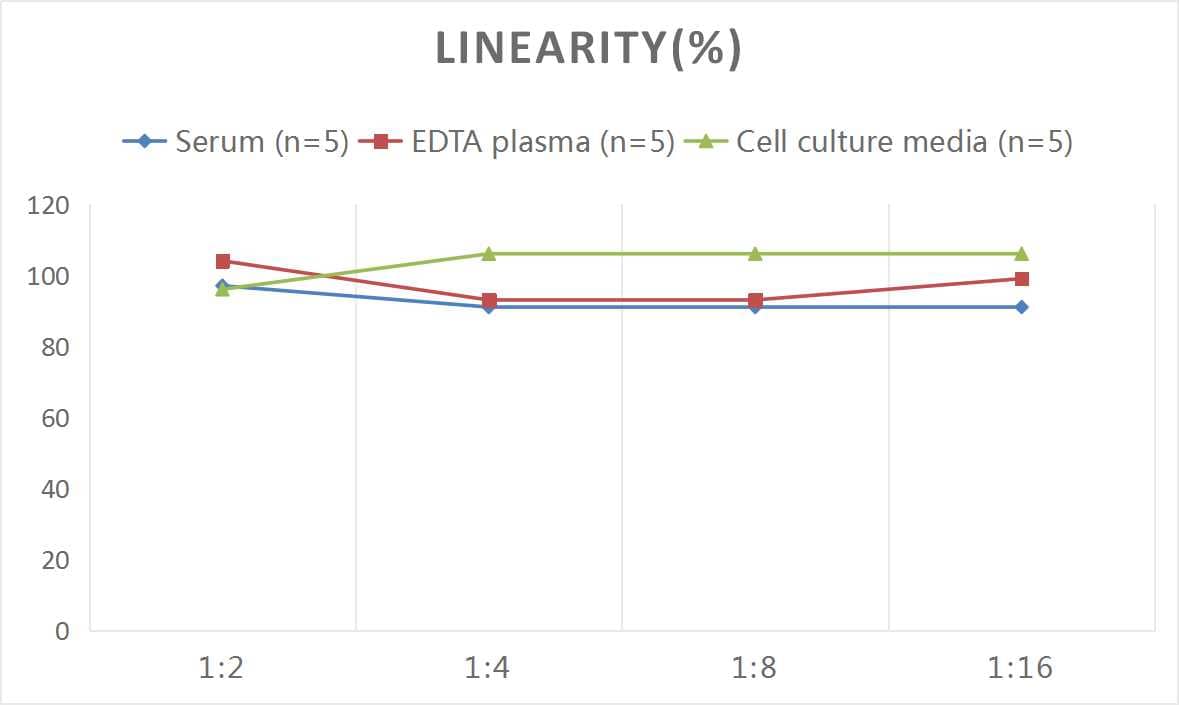 ELISA: Mouse ACTH ELISA Kit (Colorimetric) [NBP3-14759] - Samples were spiked with high concentrations of Mouse ACTH and diluted with Reference Standard & Sample Diluent to produce samples with values within the range of the assay.