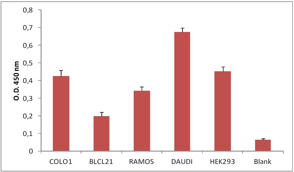Immunoplate for total Exosome Isolation (CD63, Colorimetric) [NBP3-14805] - CD63 profiling on exosomes derived from supernatants of different cell lines.