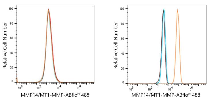 Flow Cytometry: MMP-14/MT1-MMP Antibody (6T7L3) [MMP-14/MT1-MMP] - Flow cytometry: 1X10^6 MCF7 cells (negative control,left) and HT-1080  cells were intracellularly-stained with MMP-14/MT1-MMP Rabbit mAb  or ABflo 488 Rabbit IgG isotype control , followed by Alexa Fluor 488 conjugated goat anti-rabbit pAb staining. Non-fluorescently stained cells were used as blank control .