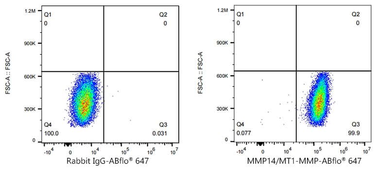 Flow Cytometry: MMP-14/MT1-MMP Antibody (6T7L3) [MMP-14/MT1-MMP] - Flow cytometry: 1X10^6 MCF7 cells (negative control,left) and HT-1080  cells were intracellularly-stained with MMP-14/MT1-MMP Rabbit mAb  or ABflo 647 Rabbit IgG isotype control , followed by Alexa Fluor 647 conjugated goat anti-rabbit pAb staining. Non-fluorescently stained cells were used as blank control .