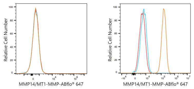 Flow Cytometry: MMP-14/MT1-MMP Antibody (6T7L3) [MMP-14/MT1-MMP] - Flow cytometry: 1X10^6 MCF7 cells (negative control,left) and HT-1080  cells were intracellularly-stained with MMP-14/MT1-MMP Rabbit mAb  or ABflo 488 Rabbit IgG isotype control , followed by Alexa Fluor 488 conjugated goat anti-rabbit pAb staining. Non-fluorescently stained cells were used as blank control .