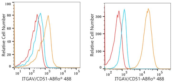 Flow Cytometry: Integrin alpha V/CD51 Antibody (10T9N2) [Integrin alpha V/CD51] - Flow cytometry:1X10^6 Daudi cells cells (negative control,left) and BEWO cells  were intracellularly-stained with Integrin alpha V/CD51 Rabbit mAb or Rabbit IgG isotype control ,followed by FITC conjugated goat anti-rabbit pAb(1:200 dilution) staining. Non-fluorescently stained cells were used as blank control .