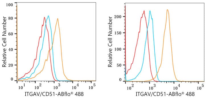 Flow Cytometry: Integrin alpha V/CD51 Antibody (10T9N2) [Integrin alpha V/CD51] - Flow cytometry:1X10^6 Daudi cells (negative control,left) and HUVEC cells  were intracellularly-stained with Integrin alpha V/CD51 Rabbit mAb or Rabbit IgG isotype control ,followed by FITC conjugated goat anti-rabbit pAb(1:200 dilution) staining. Non-fluorescently stained cells were used as blank control .