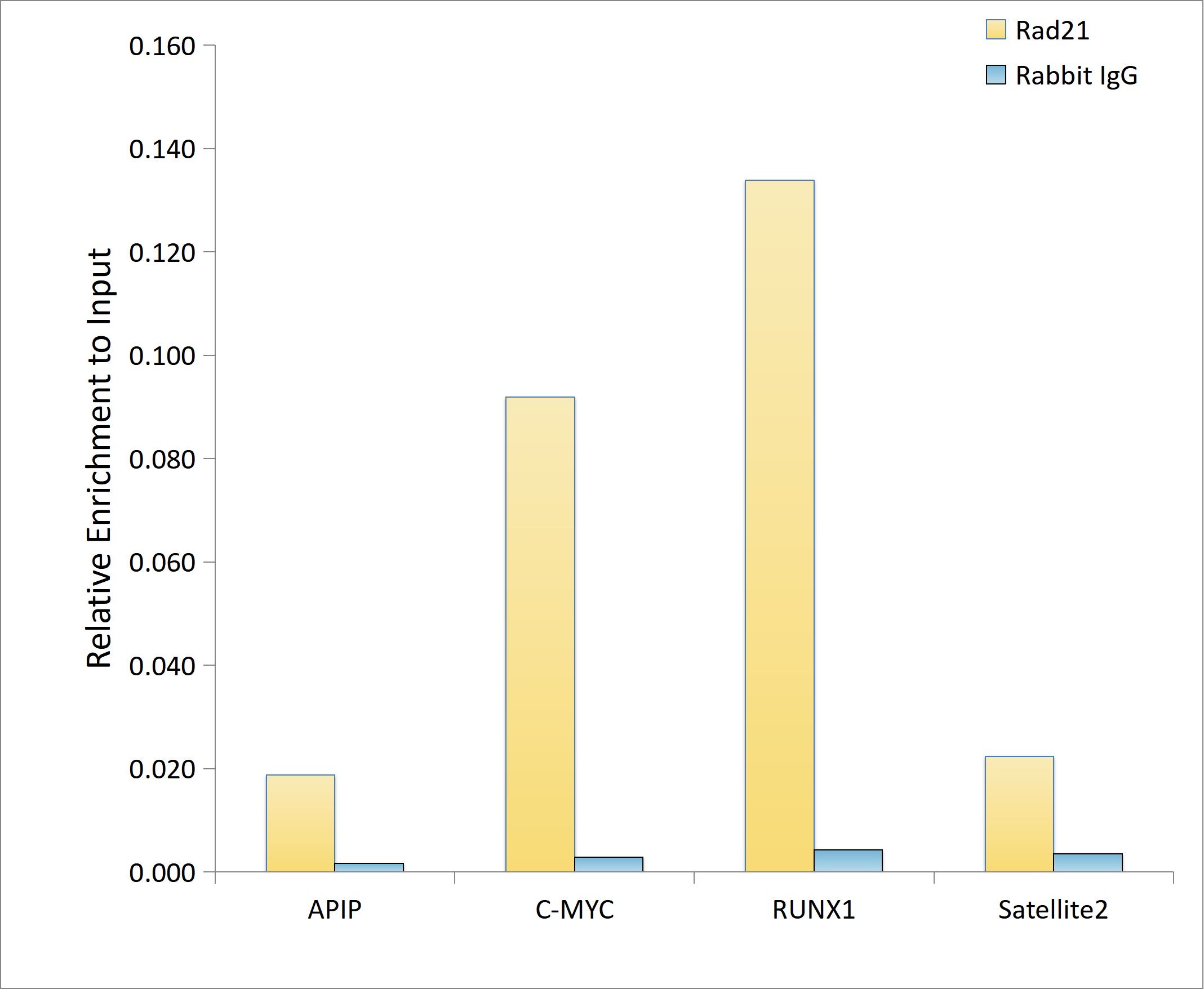 Chromatin Immunoprecipitation: Rad21 Antibody (9H0H6) [Rad21] - Chromatin immunoprecipitation analysis of extracts of A-549 cells, using Rad21 antibody  and rabbit IgG.The amount of immunoprecipitated DNA was checked by quantitative PCR. Histogram was constructed by the ratios of the immunoprecipitated DNA to the input.