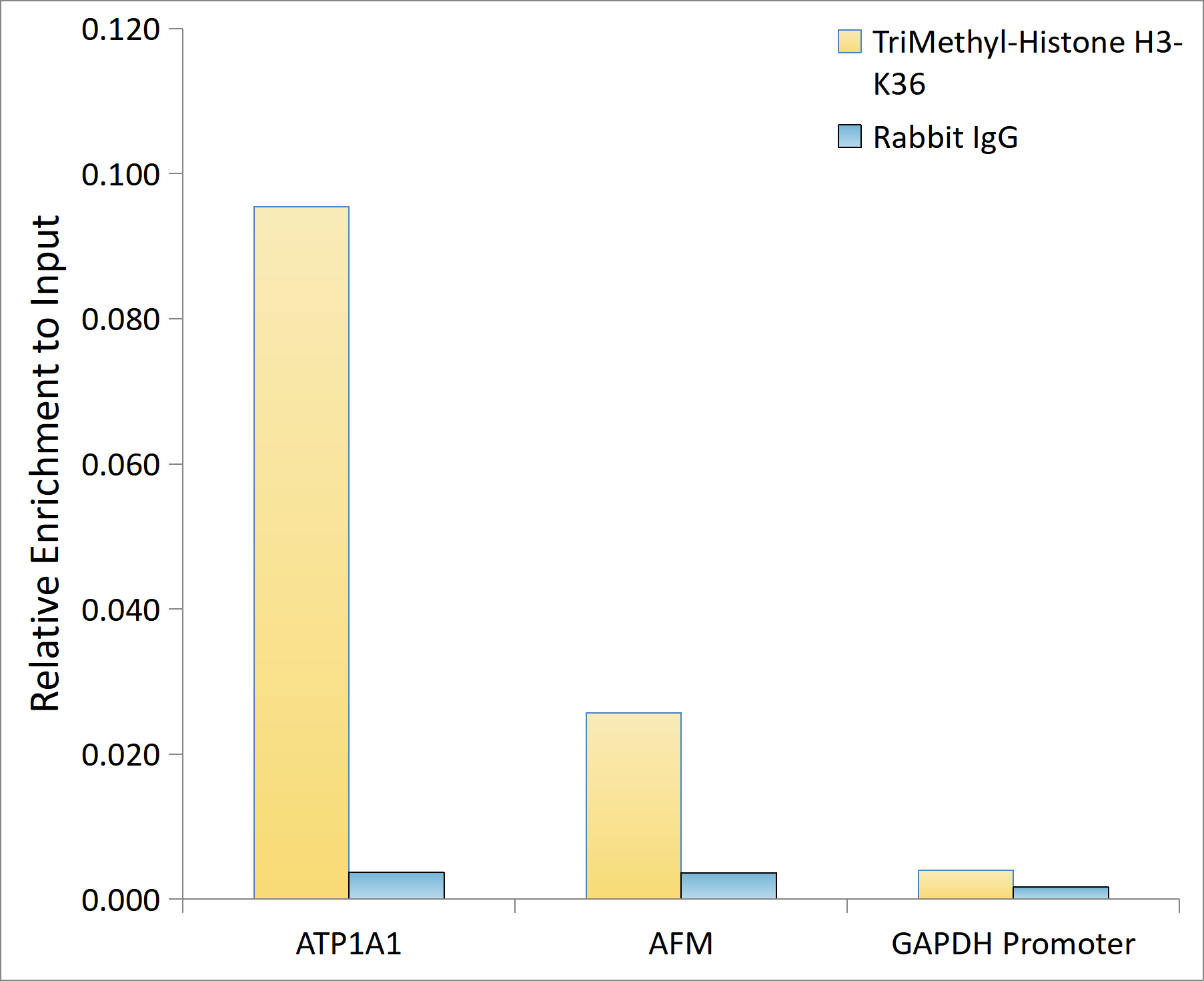 Chromatin Immunoprecipitation: Histone H3 [Trimethyl Lys36] Antibody (7W5T2) [Histone H3] - Chromatin immunoprecipitation analysis of extracts of HeLa cells, using Histone H3 antibody  and rabbit IgG.The amount of immunoprecipitated DNA was checked by quantitative PCR. Histogram was constructed by the ratios of the immunoprecipitated DNA to the input.