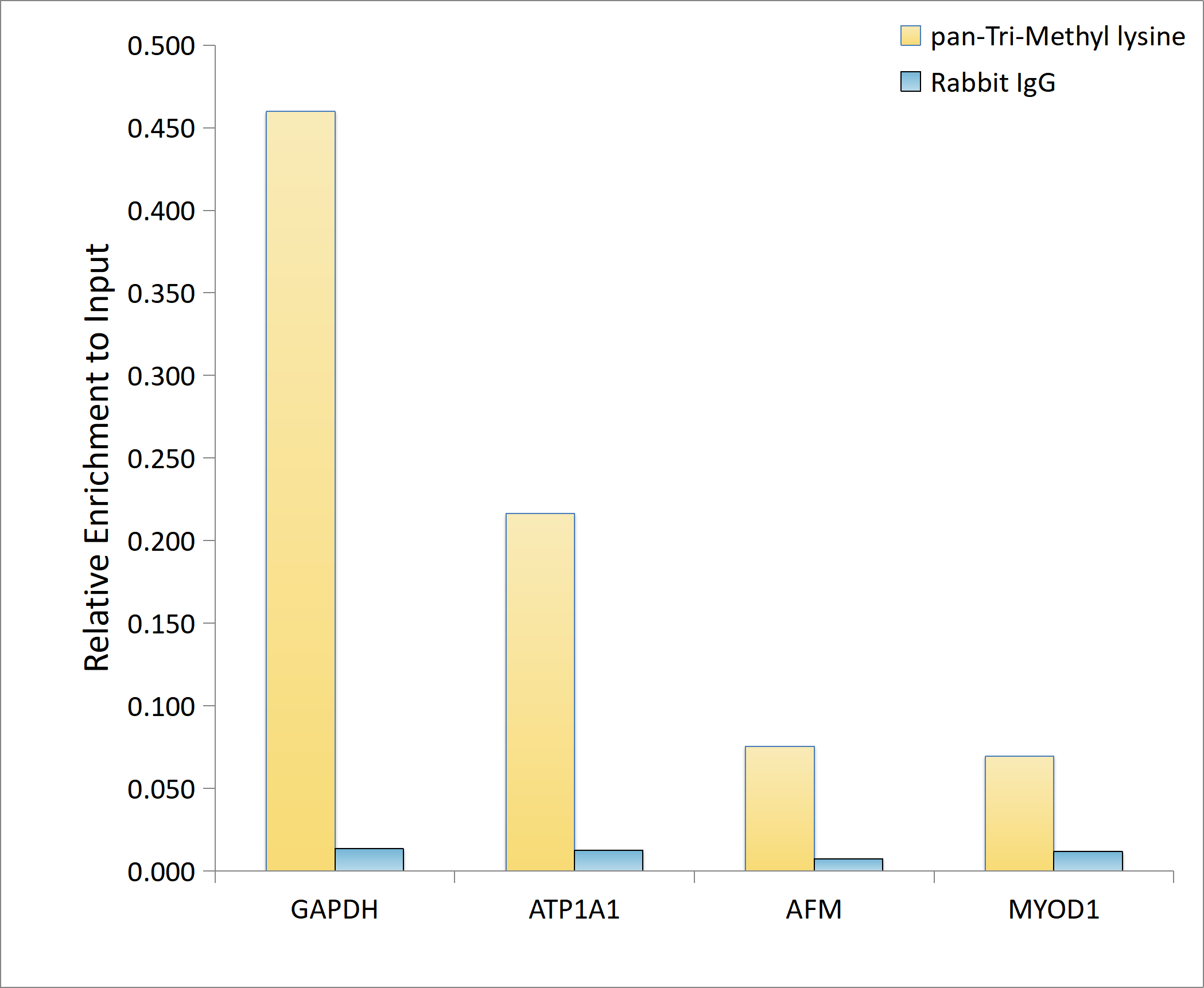 Chromatin Immunoprecipitation: Methyl-Lysine Antibody - Azide and BSA Free [Methyl-Lysine] - Chromatin immunoprecipitation analysis of extracts of HeLa cells, using Methyl-Lysine antibody  and rabbit IgG.The amount of immunoprecipitated DNA was checked by quantitative PCR. Histogram was constructed by the ratios of the immunoprecipitated DNA to the input.