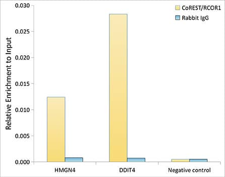 Chromatin Immunoprecipitation: RCOR1/CoREST Antibody (9B3R7) [RCOR1/CoREST] - Chromatin immunoprecipitation analysis of extracts of HepG2 cells, using RCOR1/CoREST antibody  and rabbit IgG.The amount of immunoprecipitated DNA was checked by quantitative PCR. Histogram was constructed by the ratios of the immunoprecipitated DNA to the input.