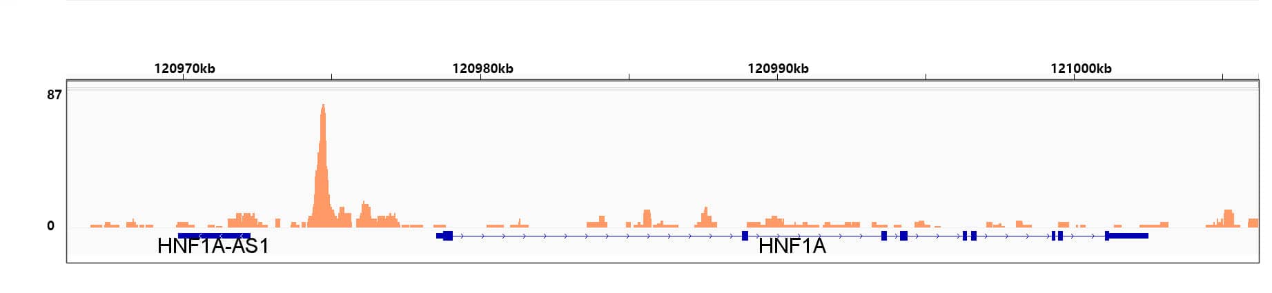 Chromatin Immunoprecipitation: HMGA1 Antibody (5J0E6) [NBP3-16379] - Chromatin immunoprecipitation was performed with 25 ug of cross-linked chromatin from HepG2 cells using 5 ug of HMGA1 Rabbit mAb . DNA libraries were prepared using Scale ssDNA-seq Lib Prep Kit for Illumina V2. The ChIP sequencing results indicate the enrichment pattern of HMGA1 in the representative genomic region surrounding HNF1A gene.