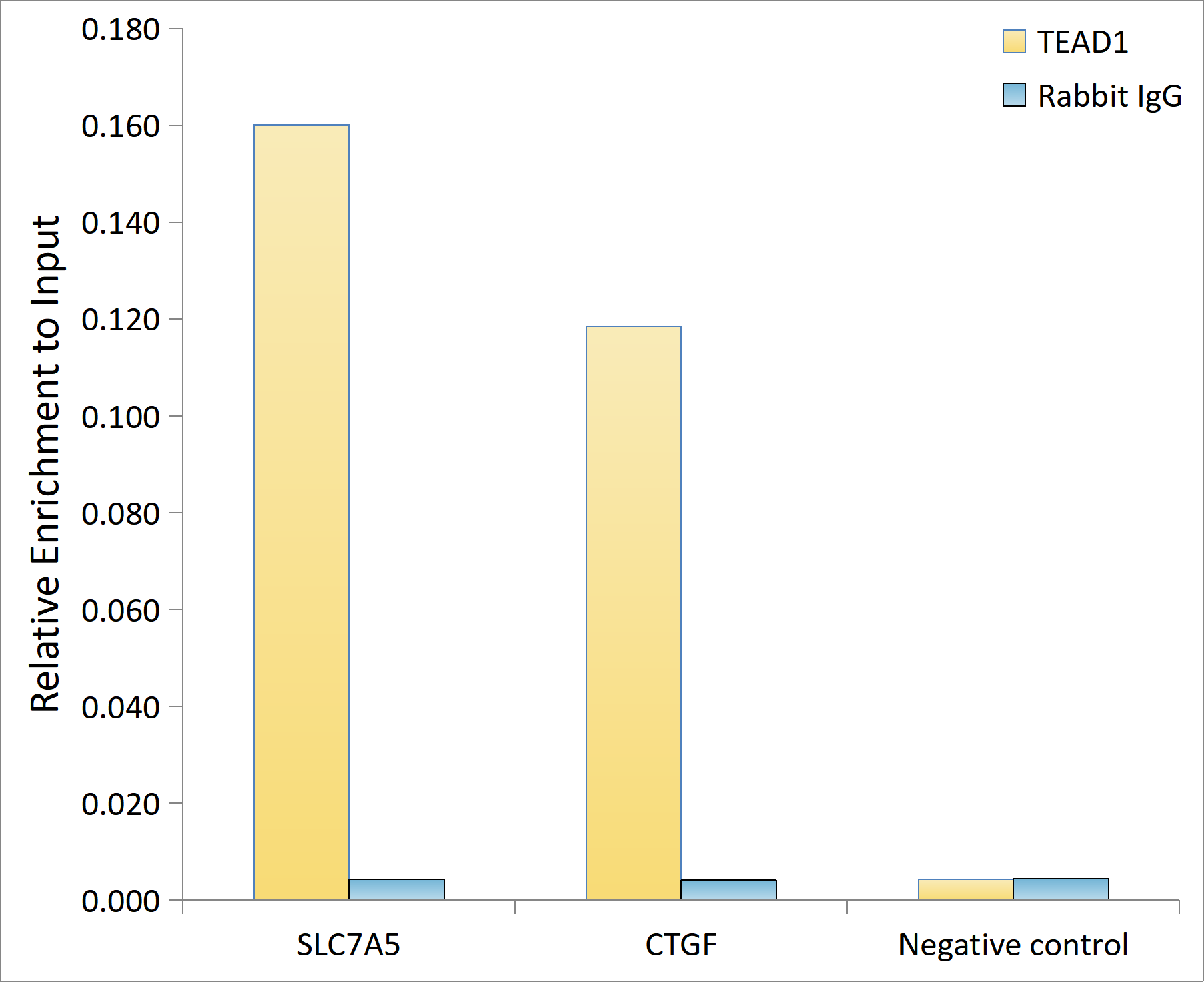 Chromatin Immunoprecipitation: TEAD1 Antibody (2E7N10) [NBP3-16593] - Chromatin immunoprecipitation analysis of extracts of HepG2 cells, using TEAD1 antibody and rabbit IgG.The amount of immunoprecipitated DNA was checked by quantitative PCR. Histogram was constructed by the ratios of the immunoprecipitated DNA to the input.