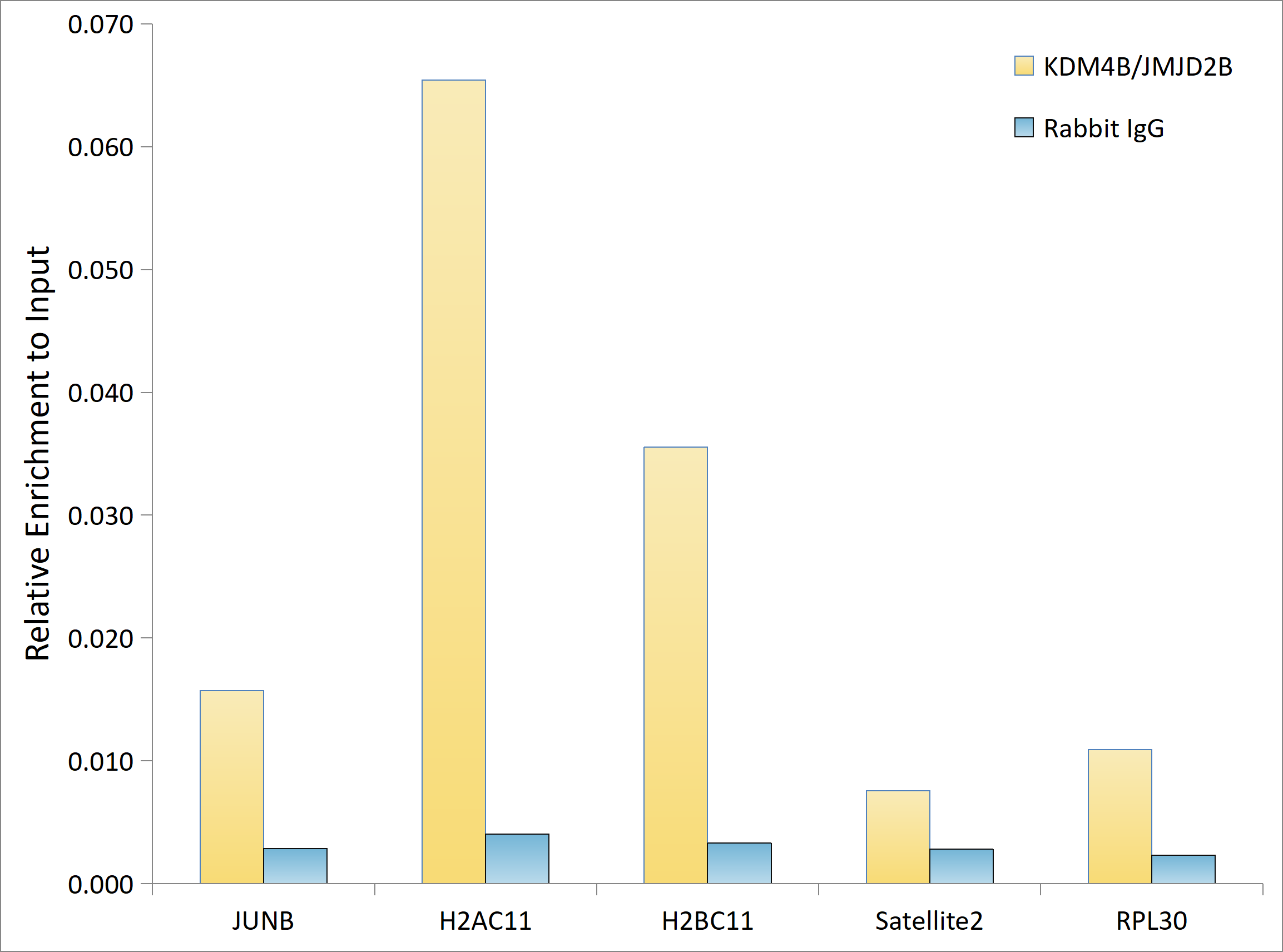 Chromatin Immunoprecipitation: JMJD2B Antibody (8I0I1) [NBP3-16639] - Chromatin immunoprecipitation analysis of extracts of 5637; cells, using JMJD2B antibody and rabbit IgG.The amount of immunoprecipitated DNA was checked by quantitative PCR. Histogram was constructed by the ratios of the immunoprecipitated DNA to the input.