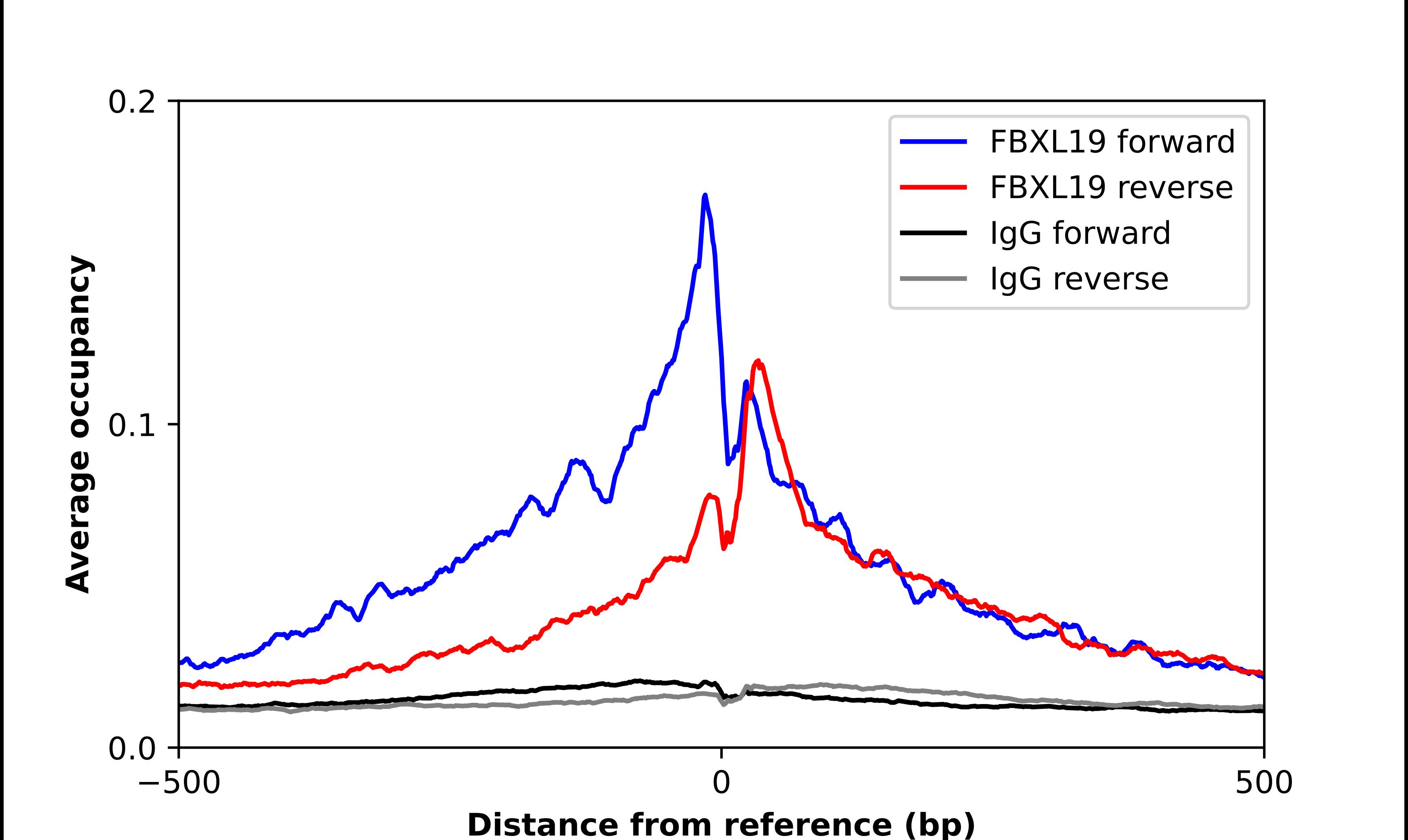 Chromatin Immunoprecipitation FBXL19 Antibody - BSA Free