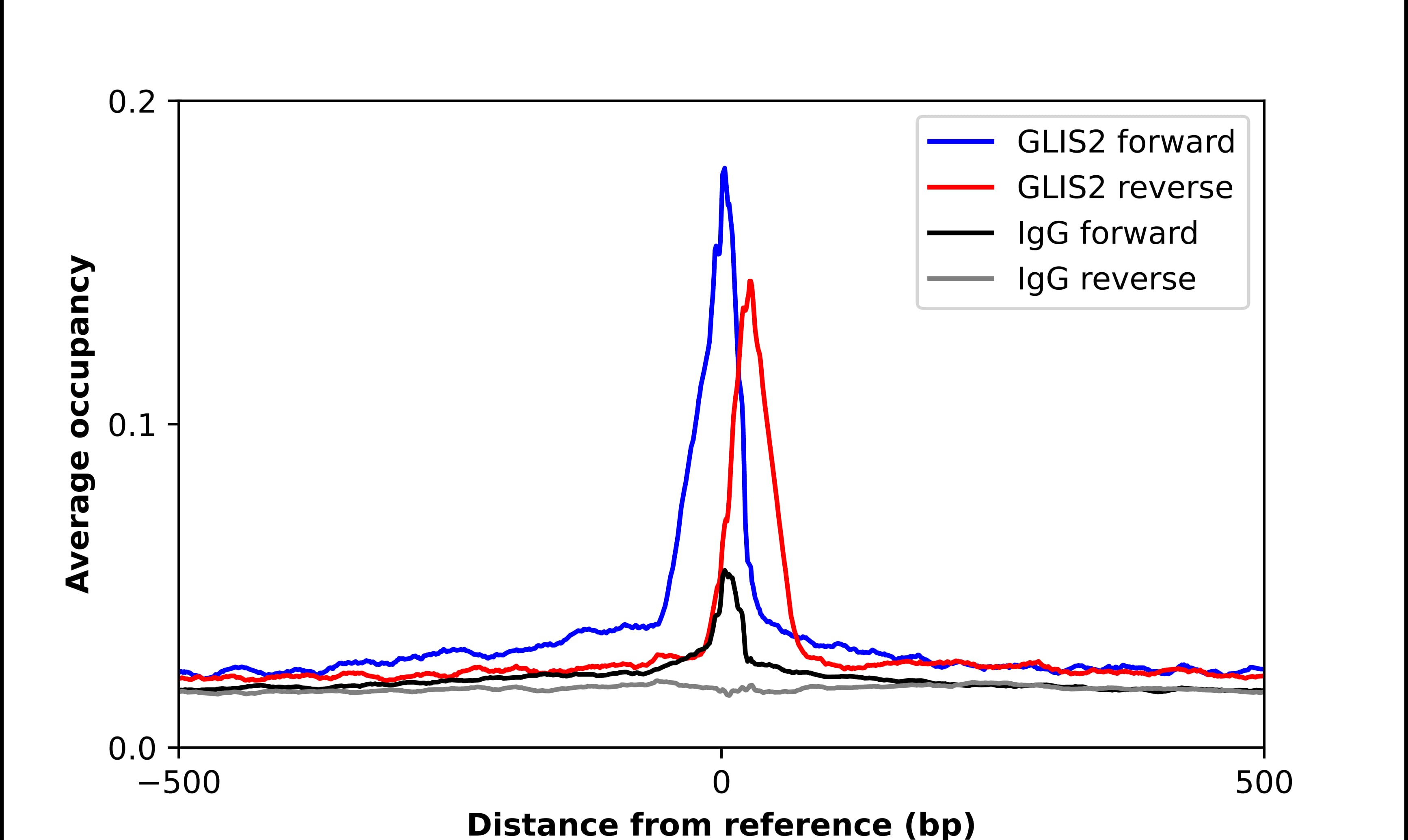 ChIP-Exo-Seq composite graph for Anti-GliS2 tested in K562 cells. Strand-specific reads (blue: forward, red: reverse) and IgG controls (black: forward, grey: reverse) are plotted against the distance from a composite set of reference binding sites. The antibody exhibits robust target enrichment compared to a non-specific IgG control and precisely reveals its structural organization around the binding site. Data generated by Prof. B. F. Pugh's Lab at Cornell University.
