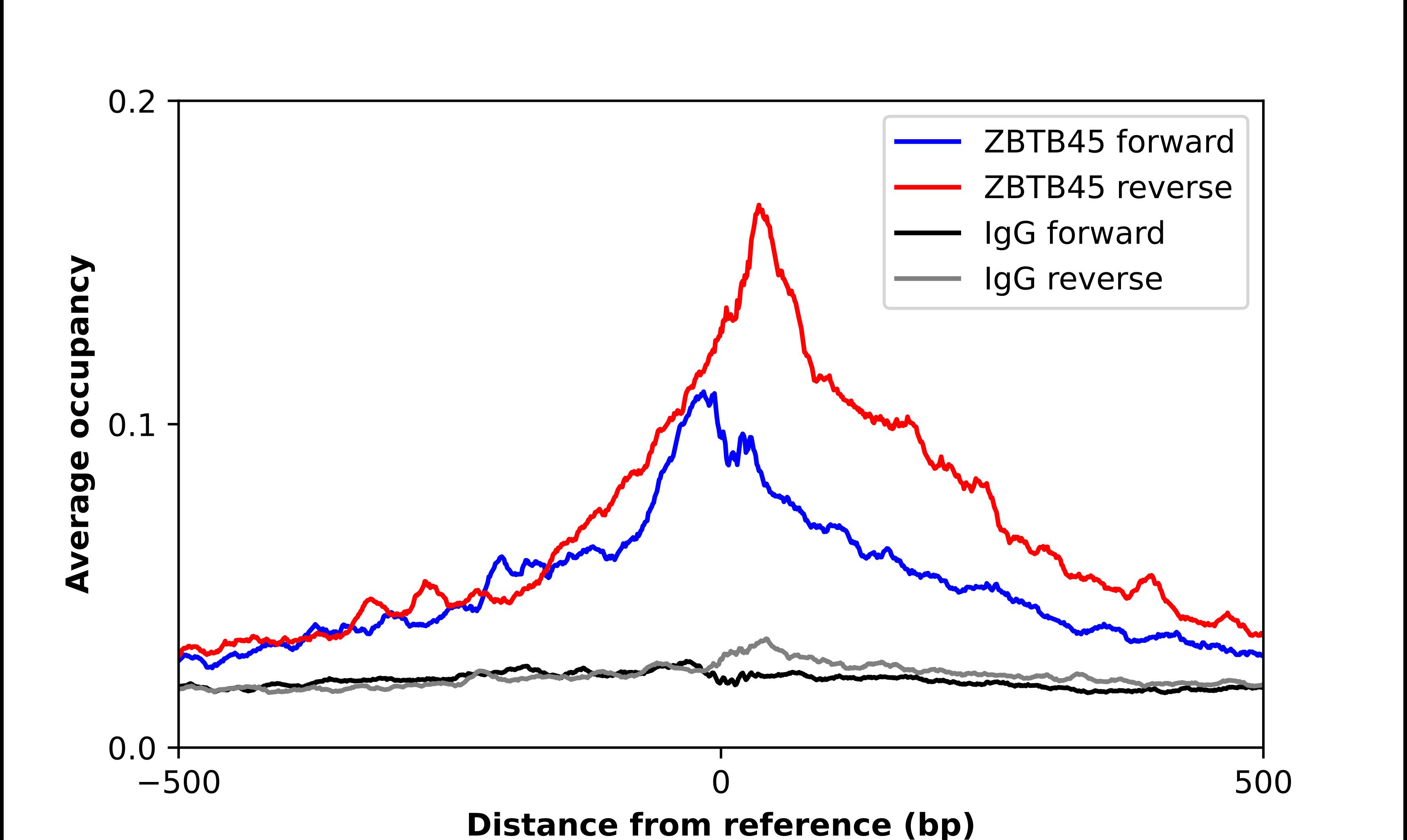 ChIP-Exo-Seq composite graph for Anti-ZNF499 tested in K562 cells. Strand-specific reads (blue: forward, red: reverse) and IgG controls (black: forward, grey: reverse) are plotted against the distance from a composite set of reference binding sites. The antibody exhibits robust target enrichment compared to a non-specific IgG control and precisely reveals its structural organization around the binding site. Data generated by Prof. B. F. Pugh's Lab at Cornell University.