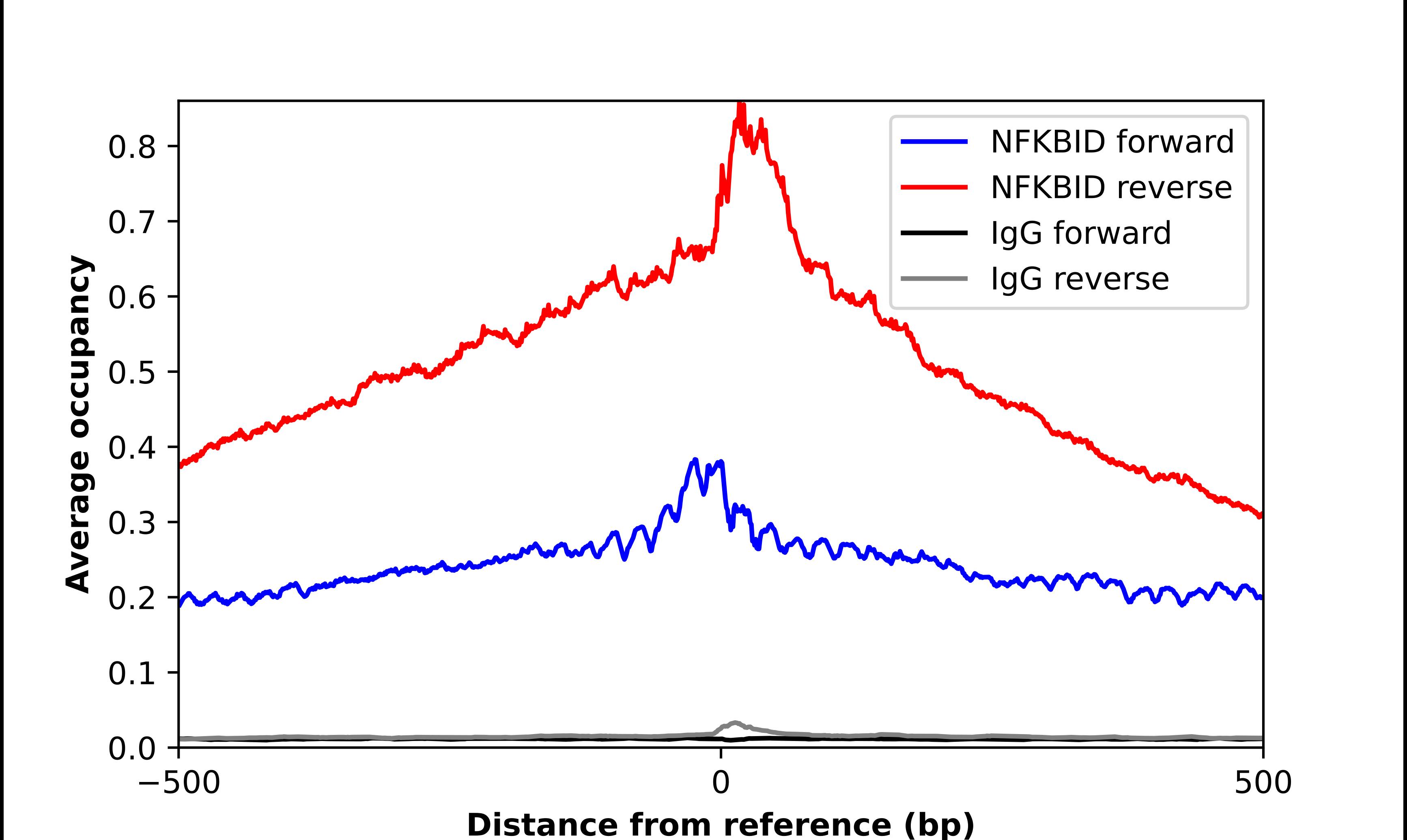 Chromatin Immunoprecipitation NFKBID Antibody - BSA Free