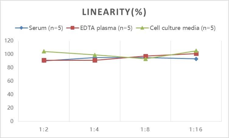 ELISA Human Biglycan ELISA Kit (Colorimetric)