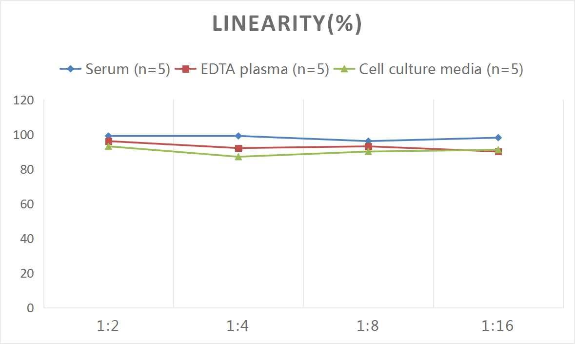 ELISA: Rat M-CSF ELISA Kit (Colorimetric) [NBP3-18031] - Samples were spiked with high concentrations of Rat M-CSF and diluted with Reference Standard & Sample Diluent to produce samples with values within the range of the assay.