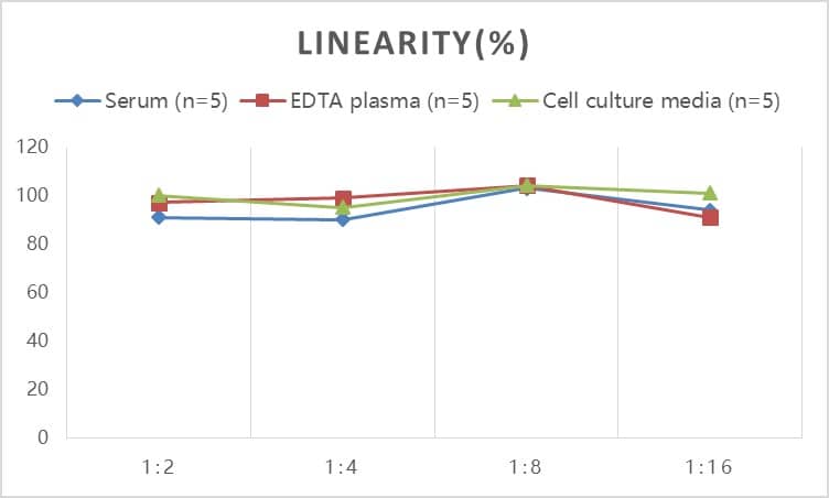 ELISA Human Talin1 ELISA Kit (Colorimetric)