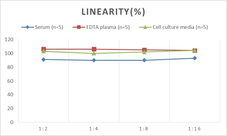 ELISA: Porcine Creatine Kinase MB ELISA Kit (Colorimetric) [NBP3-18047] - Samples were spiked with high concentrations of Creatine Kinase MB and diluted with Reference Standard & Sample Diluent to produce samples with values within the range of the assay.