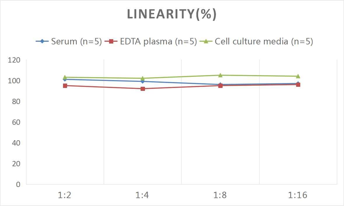 ELISA: Monkey FGF-21 ELISA Kit (Colorimetric) [NBP3-18048] - Samples were spiked with high concentrations of Monkey FGF-21 and diluted with Reference Standard & Sample Diluent to produce samples with values within the range of the assay.