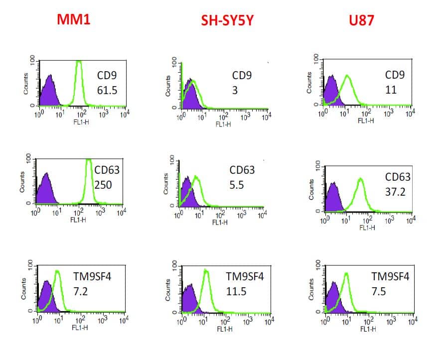 Flow Cytometry: EV-FACS (Plasma) Flow Cytometry Kit [NBP3-18360] - FACS profiling of exosomal markers CD9, CD63 and TM9SF4 in purified exosomes from Melanoma (MM1), Neuroblastoma (SH) and Glioblastoma (U87) cell supernatants. Exosome binding on FACS-beads was performed by incubation at 4C over night.
