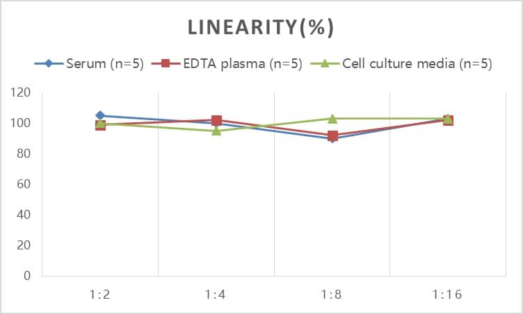 ELISA Human CL-K1/COLEC11 ELISA Kit (Colorimetric)