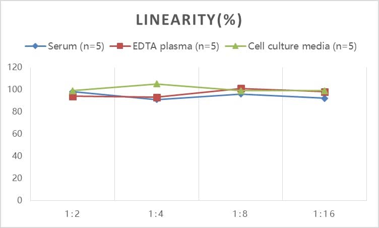 ELISA: Mouse Angiopoietin-1 ELISA Kit (Colorimetric) [NBP3-18634] - Samples were spiked with high concentrations of Mouse Angiopoietin-1 and diluted with Reference Standard & Sample Diluent to produce samples with values within the range of the assay.