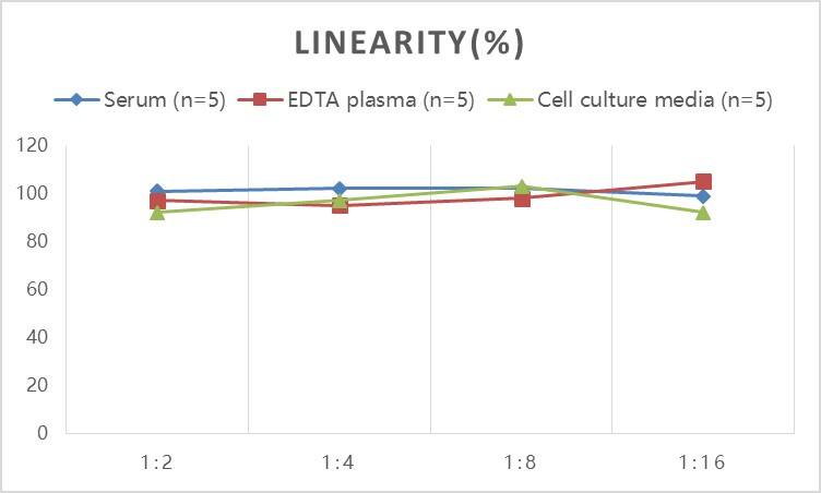 ELISA: Human KISS1 ELISA Kit (Colorimetric) [NBP3-18751] - Samples were spiked with high concentrations of Human KISS1 and diluted with Reference Standard & Sample Diluent to produce samples with values within the range of the assay.