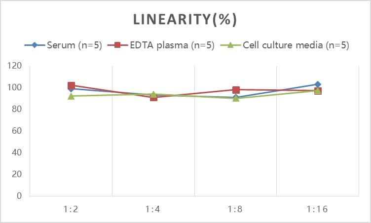 ELISA: Mouse GDNF ELISA Kit (Colorimetric) [NBP3-18762] - Samples were spiked with high concentrations of Mouse GDNF and diluted with Reference Standard & Sample Diluent to produce samples with values within the range of the assay.