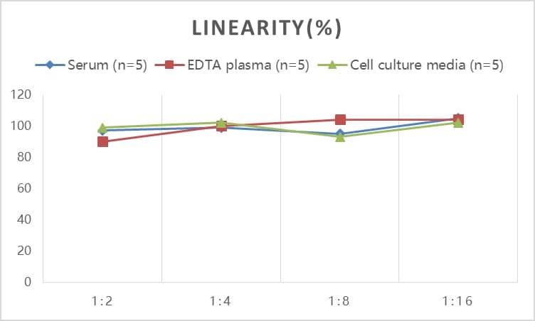 ELISA: Rat Serpin E1/PAI-1 ELISA Kit (Colorimetric) [NBP3-18763] - Samples were spiked with high concentrations of Rat Serpin E1/PAI-1 and diluted with Reference Standard & Sample Diluent to produce samples with values within the range of the assay.