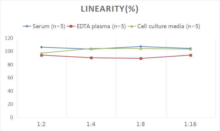 ELISA: Human Procollagen Type III ELISA Kit (Colorimetric) [NBP3-18777] - Samples were spiked with high concentrations of Human Procollagen Type III and diluted with Reference Standard & Sample Diluent to produce samples with values within the range of the assay.