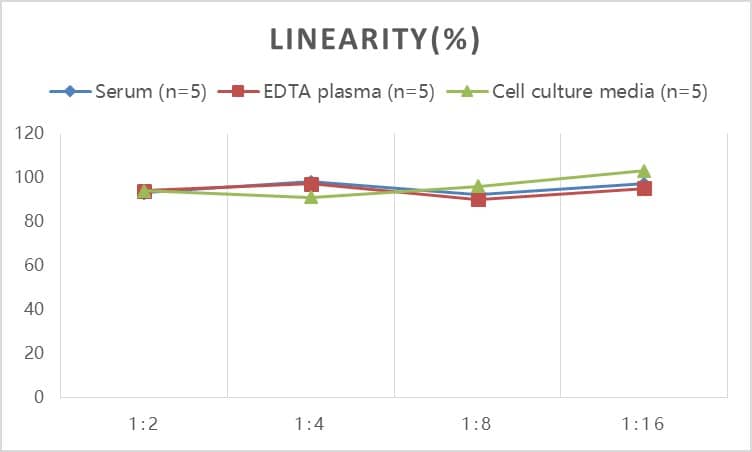 ELISA: Rat NT-proBNP ELISA Kit (Colorimetric) [NBP3-18783] - Samples were spiked with high concentrations of Rat NT-proBNP and diluted with Reference Standard & Sample Diluent to produce samples with values within the range of the assay.