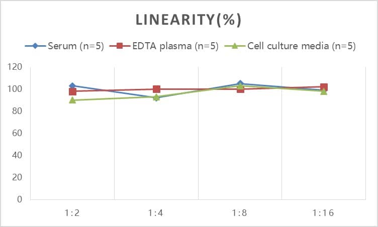 ELISA: Rat Procollagen type III N-terminal Propeptide ELISA Kit (Colorimetric) [NBP3-18789] - Samples were spiked with high concentrations of Rat Procollagen type III N-terminal Propeptide and diluted with Reference Standard & Sample Diluent to produce samples with values within the range of the assay.