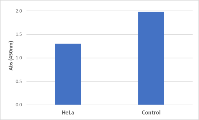 ELISA: cAMP Antibody (RM466) [NBP3-18822] - Competitive ELISA detecting cAMP in HeLa cells. The 96-well plate was coated with 1 ug/mL of Goat anti-rabbit IgG (50 µl/well). 0.05 µg/ml of RM466 (50 µl/well) was added and incubated. After wash and block, HeLa cell lysate (~105cell/mL) or control (lysate buffer only) (25 µl/well) were added along with 25 µl/well of 1/5,000 diluted HRP conjugated cAMP.TMB was used to develop the color after incubation and wash.