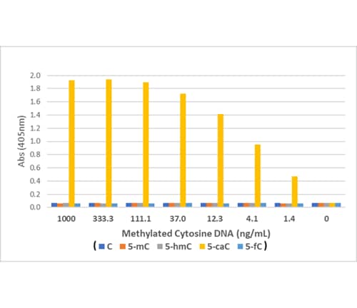 ELISA: 5-Carboxylcytosine Antibody (RM462) [NBP3-18829] - ELISA of DNA using Clone RM462 (1 ug/mL). The plate was coated with different concentrations of linear ssDNA (426 bp) containing either normal cytosines (unmodified), 5-methylcytosines (5-mC), 5-hydroxymethylcytosines (5-hmC), 5-carboxylcytosines (5-caC), or 5-formylcytosines (5-fC).