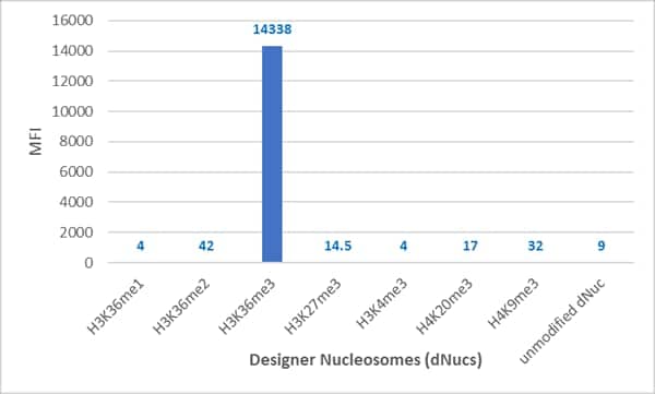 Multiplex Immunoassay: Histone H3 [Trimethyl Lys36] Antibody (RM491) [NBP3-18838] - Luminex of Designer Nucleosomes (dNucs) (Recombinant Human Nucleosome with H3 monomethylated Lysine 36, dimethylated Lysine 36, trimethylated Lys 36, and H3 Lys 27, H3 Lys4, H4 Lys20, H4Lys9 Tri-Methylation), using RM491.