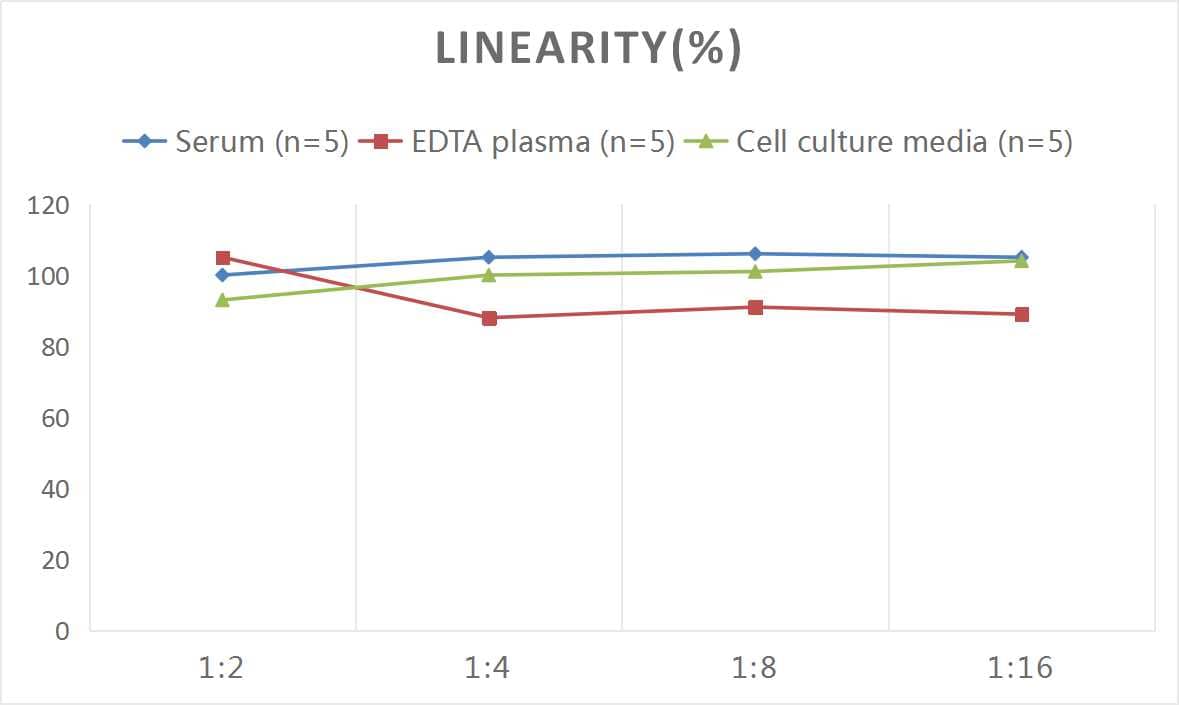 ELISA: Mouse VE-Cadherin ELISA Kit (Colorimetric) [NBP3-20089] - Samples were spiked with high concentrations of Mouse VE-Cadherin and diluted with Reference Standard & Sample Diluent to produce samples with values within the range of the assay.