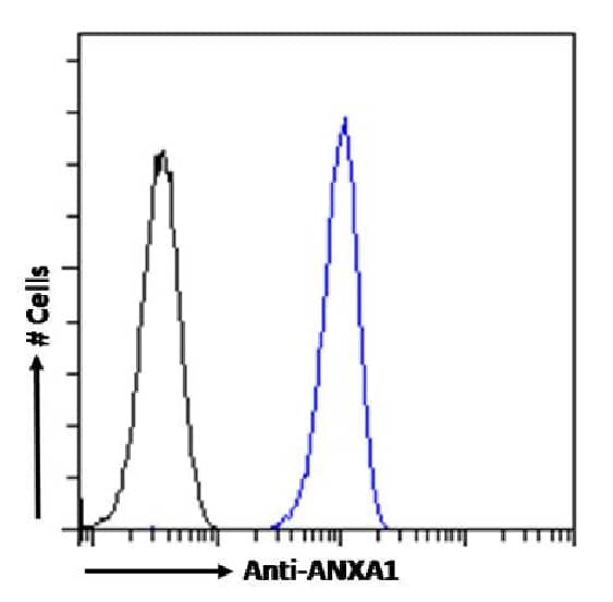 Flow Cytometry: Annexin A1 Antibody (SAIC-13B-19) - Azide and BSA Free [NBP3-20092] - Paraformaldehyde fixed HeLa cells permeabilized with 0.5% Triton were stained with anti-unknown specificity antibody (isotype control, black line) or the rabbit IgG version of SAIC-13B-19 (NBP3-20092, blue line) at a dilution of 1:100 for 1h at RT. After washing, the bound antibody was detected using a goat anti-rabbit IgG AlexaFluor(R) 488 antibody at a dilution of 1:1000 and cells analyzed using a FACSCanto flow-cytometer.