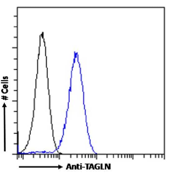 Flow Cytometry: Transgelin/TAGLN/SM22 alpha Antibody (SAIC-33B-129) - Azide and BSA Free [NBP3-20101] - Paraformaldehyde fixed HeLa cells permeabilized with 0.5% Triton were stained with anti-unknown specificity antibody (isotype control, black line) or the rabbit IgG version of SAIC-33B-129 (NBP3-20101, blue line) at a dilution of 1:100 for 1h at RT. After washing, the bound antibody was detected using a goat anti-rabbit IgG AlexaFluor(R) 488 antibody at a dilution of 1:1000 and cells analyzed using a FACSCanto flow-cytometer.