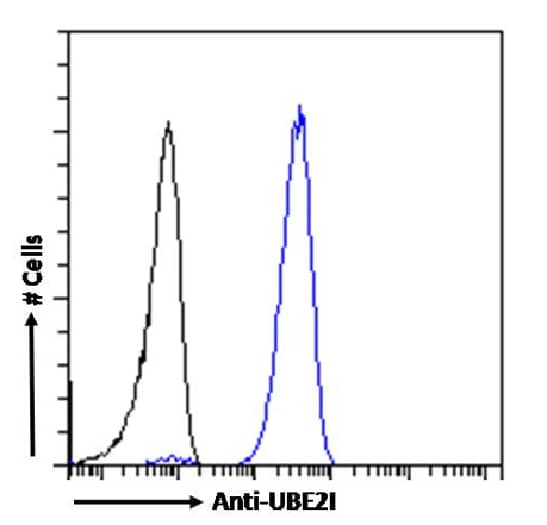 Flow Cytometry: UBE2I/Ubc9 Antibody (SAIC-36A-9) - Azide and BSA Free [NBP3-20104] - Paraformaldehyde fixed Jurkat cells permeabilized with 0.5% Triton were stained with anti-unknown specificity antibody (isotype control, black line) or the rabbit IgG version of SAIC-36A-9 (NBP3-20104, blue line) at a dilution of 1:100 for 1h at RT. After washing, the bound antibody was detected using a goat anti-rabbit IgG AlexaFluor(R) 488 antibody at a dilution of 1:1000 and cells analyzed using a FACSCanto flow-cytometer.