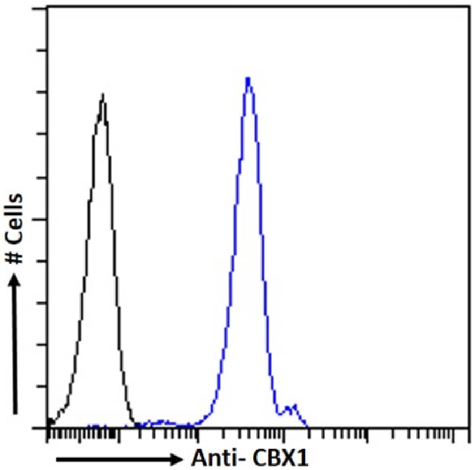 Flow Cytometry: CBX1 Antibody (RAB-C145) - Chimeric - Azide and BSA Free [NBP3-20129] - HeLa cells were fixed using 2% PFA and stained with anti-unknown specificity antibody (isotype control, black line) or the rabbit IgG1 version of RAB-C145 (NBP3-20129, blue line) at a dilution of 1:100 for 1h at RT. After washing, the bound antibody was detected using a goat anti-rabbit IgG AlexaFluor(R) 488 antibody at a dilution of 1:1000 and cells analyzed using a FACSCanto flow-cytometer.