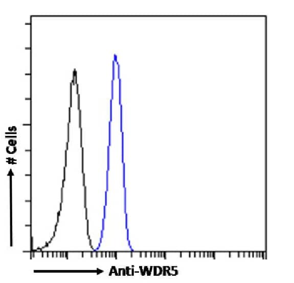 Flow Cytometry: WDR5 Antibody (RAB-C223) - Chimeric - Azide and BSA Free [NBP3-20133] - Paraformaldehyde fixed HeLa cells permeabilized with 0.5% Triton were stained with anti-unknown specificity antibody (isotype control, black line) or the rabbit IgG version of RAB-C223 (NBP3-20133, blue line) at a dilution of 1:100 for 1h at RT. After washing, the bound antibody was detected using a goat anti-rabbit IgG AlexaFluor(R) 488 antibody at a dilution of 1:1000 and cells analyzed using a FACSCanto flow-cytometer.