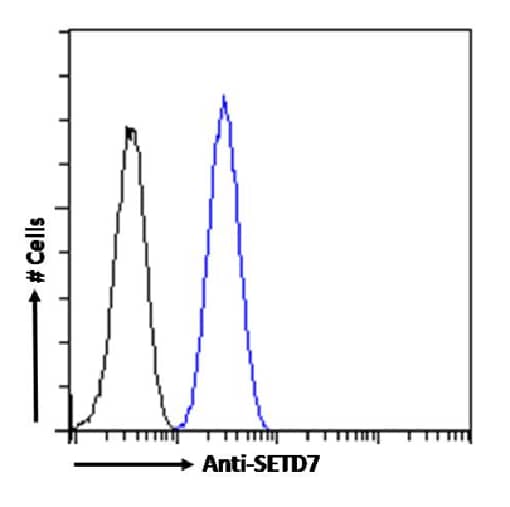 Flow Cytometry: SETD7 Antibody (RAB-C220) - Chimeric - Azide and BSA Free [NBP3-20145] - Paraformaldehyde fixed HeLa cells permeabilized with 0.5% Triton were stained with anti-unknown specificity antibody (isotype control, black line) or the rabbit IgG version of RAB-C220 (NBP3-20145, blue line) at a dilution of 1:100 for 1h at RT. After washing, the bound antibody was detected using a goat anti-rabbit IgG AlexaFluor(R) 488 antibody at a dilution of 1:1000 and cells analyzed using a FACSCanto flow-cytometer.