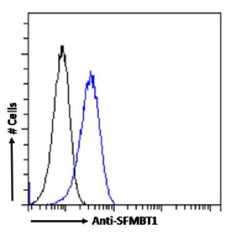 Flow Cytometry SFMBT1 Antibody (RAB-C396) - Chimeric - Azide and BSA Free