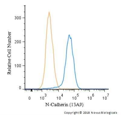 Flow (Intracellular): N-Cadherin Antibody (13A9) [NBP1-48309] - An intracellular stain was performed on HeLa with NBP1-48309 and a matched isotype control. Cells were fixed with 4% PFA and then permeablized with 0.1% saponin. Cells were incubated in an antibody dilution of 1 ug/mL for 30 minutes at room temperature, followed by Mouse F(ab)2 IgG (H+L) PE-conjugated Antibody.